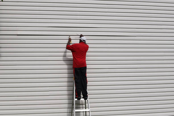 Best Custom Trim and Detailing for Siding  in Vivian, LA
