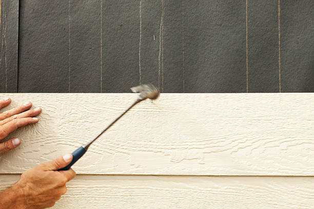 Best Siding Painting and Refinishing  in Vivian, LA