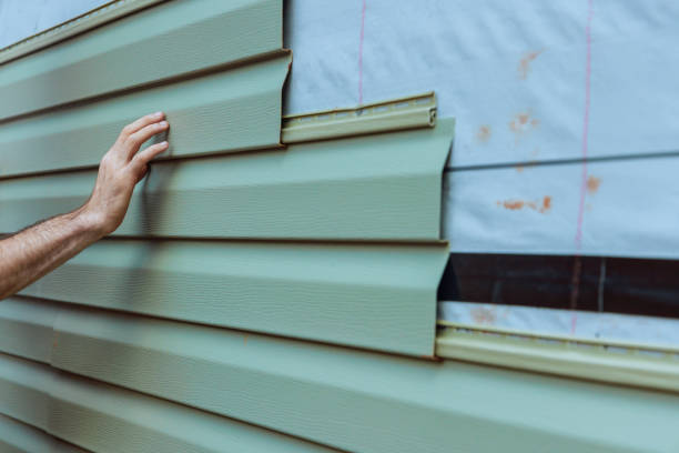 Best Fascia and Soffit Installation  in Vivian, LA